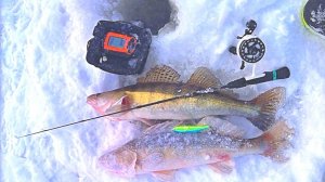 Только опустил за корягу, сразу удар! Рыбалка на вибы 2026!