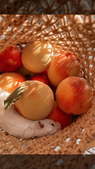 Как я зарабатываю 100К+ в месяц, работая 2 часа в неделю