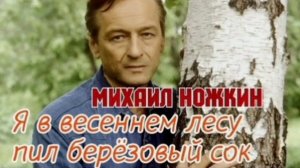 Я в весеннем лесу пил берëзовый сок.