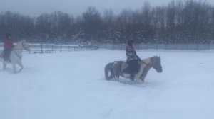 по снегу на лошадях