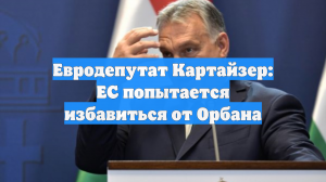 Евродепутат Картайзер: ЕС попытается избавиться от Орбана