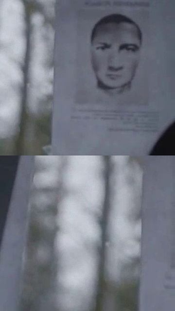 Общее горе лучший друг