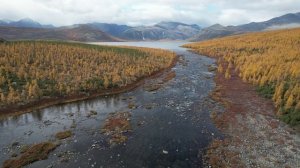 Протока Вариантов, Колыма (2025.09.10)