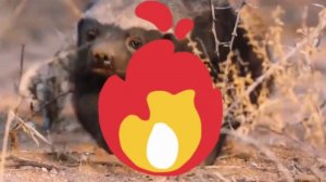 Михаил Ламкин и Дмитрий Дуф - Ратель