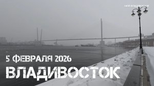 Владивосток опять снег,кто то на машинах, а кто то  пешком (5 февраля 2026).