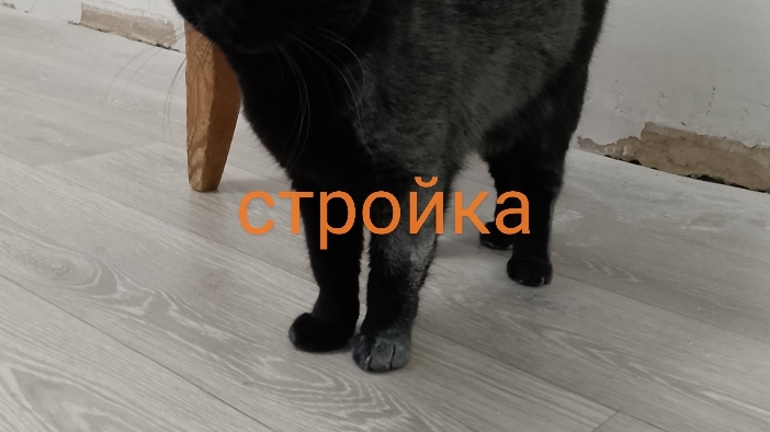 очень странные дела