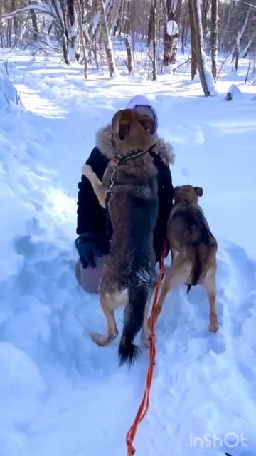  Ой! А кого мы тут застукалииии!