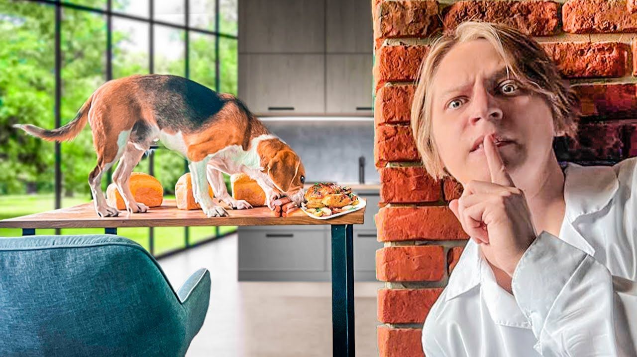 ЧТО ДЕЛАЮТ МОИ ЖИВОТНЫЕ КОГДА МЕНЯ НЕТ ДОМА смотреть онлайн