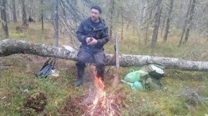 Лоси и медведи ходят одними тропами, а где рябчик