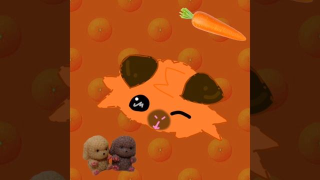 фантик + мандарин=канон смотреть онлайн