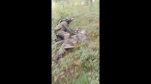 Побегал И Непомер