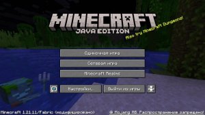 Играю в майн на своем серве