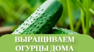 СОЗДАЛИ УСЛОВИЯ ДЛЯ КУРАЖА.