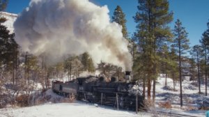 Паровозы зимой