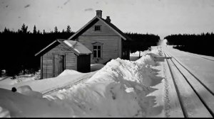 ПРЫГНУЛА С ПОЕЗДА СМЕРТИ! 🚂 Как она ВЫЖИЛА в ТАЙГЕ одна? ШОКИРУЮЩАЯ правда