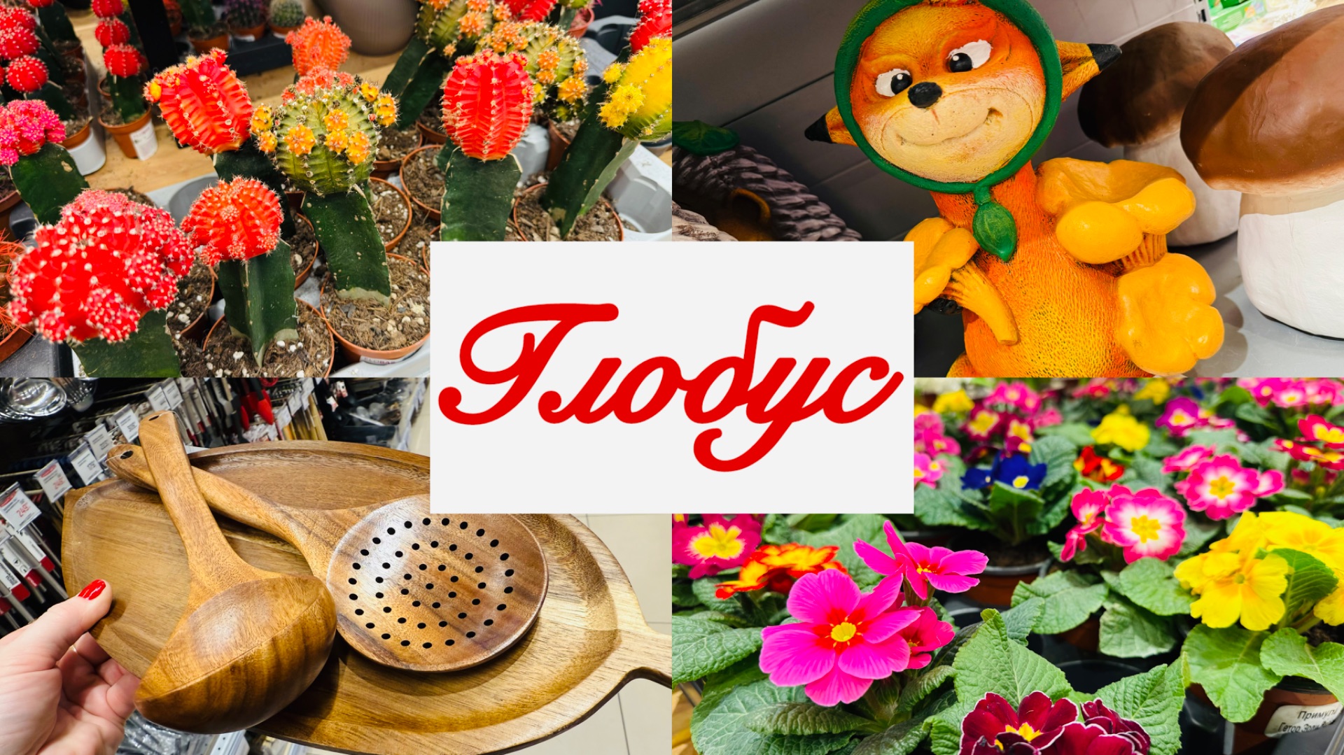 🌏🌷🍀 В ГЛОБУСЕ ПЕРВЫЕ ВЕСЕННИЕ НОВИНКИ! ОТЛИЧНЫЙ АССОРТИМЕНТ 🌷 #счастьеесть #глобус смотреть онлайн