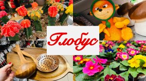 🌏🌷🍀 В ГЛОБУСЕ ПЕРВЫЕ ВЕСЕННИЕ НОВИНКИ! ОТЛИЧНЫЙ АССОРТИМЕНТ 🌷 #счастьеесть #глобус