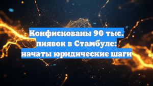 Конфискованы 90 тыс. пиявок в Стамбуле: начаты юридические шаги