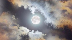 Ночь печали