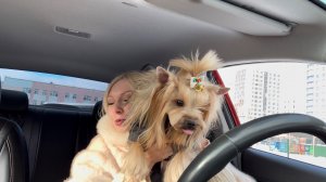 Ах какая женщина//Теперь мне понятно кто пишет пакости