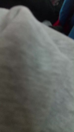 лучщая база