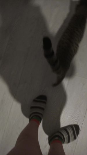 цель 100 подписчиков. кто-нибудь подпишуться?