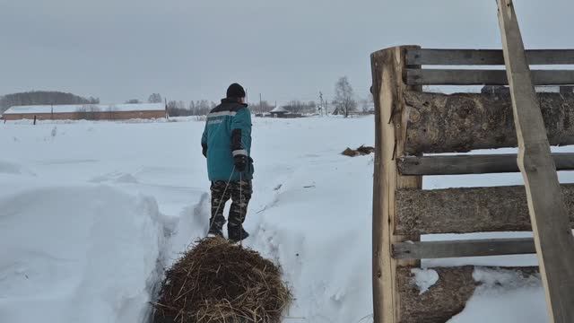 мы сегодня вдвоем убираем в стайке смотреть онлайн