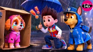 Щенячий патруль и Маршалл. Залипательное видео. Мультфильм для детей и малышей. Анимация