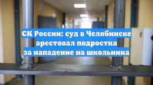 СК России: суд в Челябинске арестовал подростка за нападение на школьника