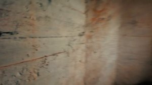 Серая лошадь