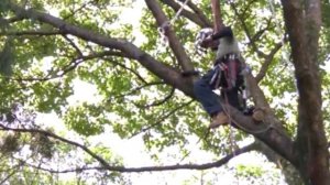 Короткий обзор продукции от компании Silky