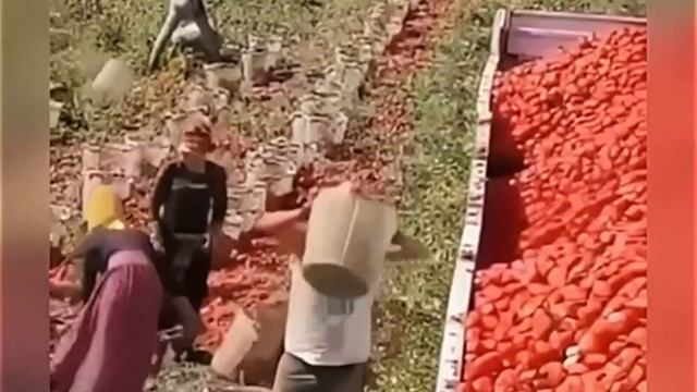 Когда ты стал опытным в этом деле?