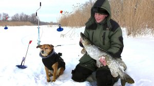 ШОК!!! ПОЙМАЛИ ОГРОМНУЮ ЩУКУ НА ЖЕРЛИЦУ! ЩУКА РАЗМЕРОМ С СОБАКУ.