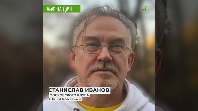 Как ухаживать за кактусом зимой: советы для начинающих смотреть онлайн