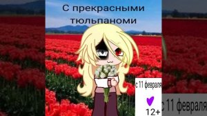 вот вам на ночь видео