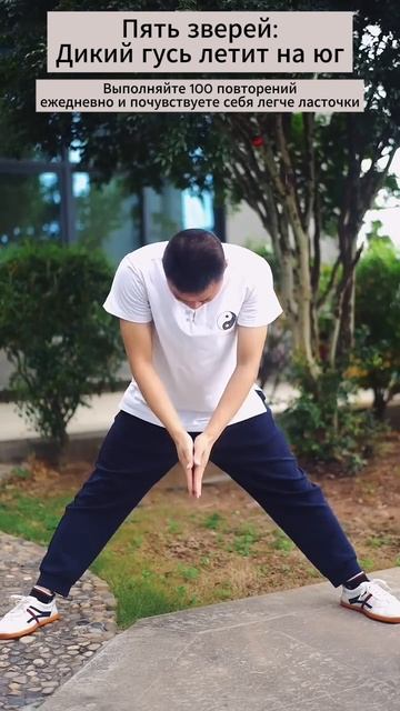 Пять зверей Дикий гусь летит на юг