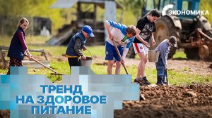 Россияне массово переходят на фермерские продукты. Что стоит за новым трендом здорового питания?