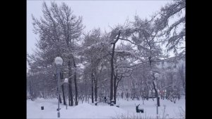 г. Кола, парк