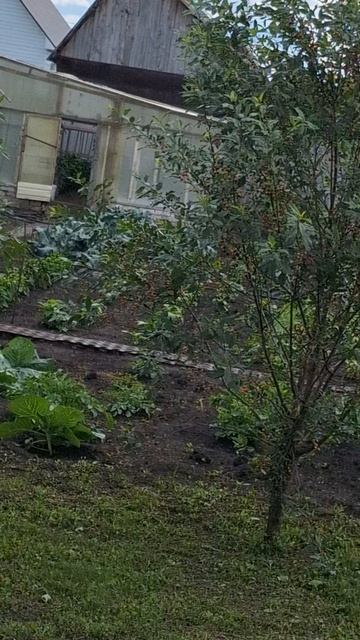 1000036261.mp4 смотреть онлайн