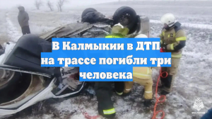 В Калмыкии в ДТП на трассе погибли три человека