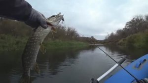 ДИКИЕ ЩУКИ ЗАРОСШЕЙ РЕКИ радуют поклевками на воблер. Природа как сказка. Рыбалка на спиннинг осенью