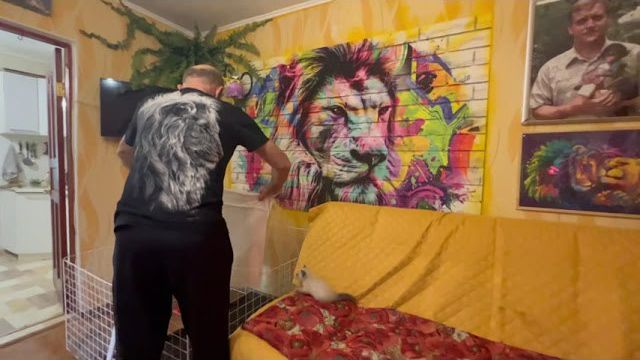 Наше УТРО НАЧАЛОСЬ! Уборка, чистка и кормежка! Люська требует домой, а Басик и Бемби хотят ГУЛЯТЬ!