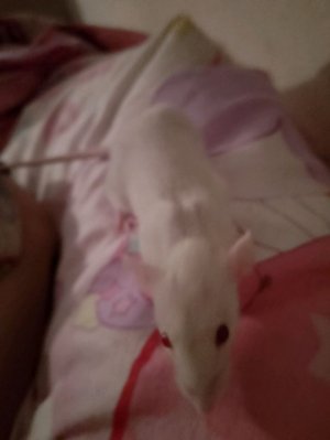 у нас новый друг