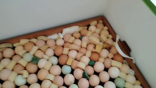 Самый прибыльный бизнес. Открываю сезон. смотреть онлайн