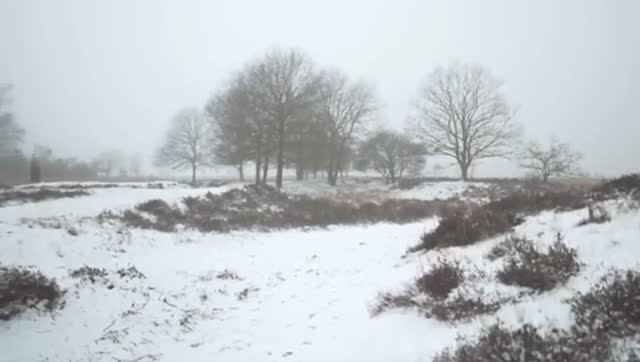 Снег кружится (Chris De Burgh - Юрий Лир) смотреть онлайн