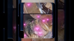 1000048098.mp4 (Собака наблюдает за устройством лестницы на 2 этаж в доме А-фрейм)