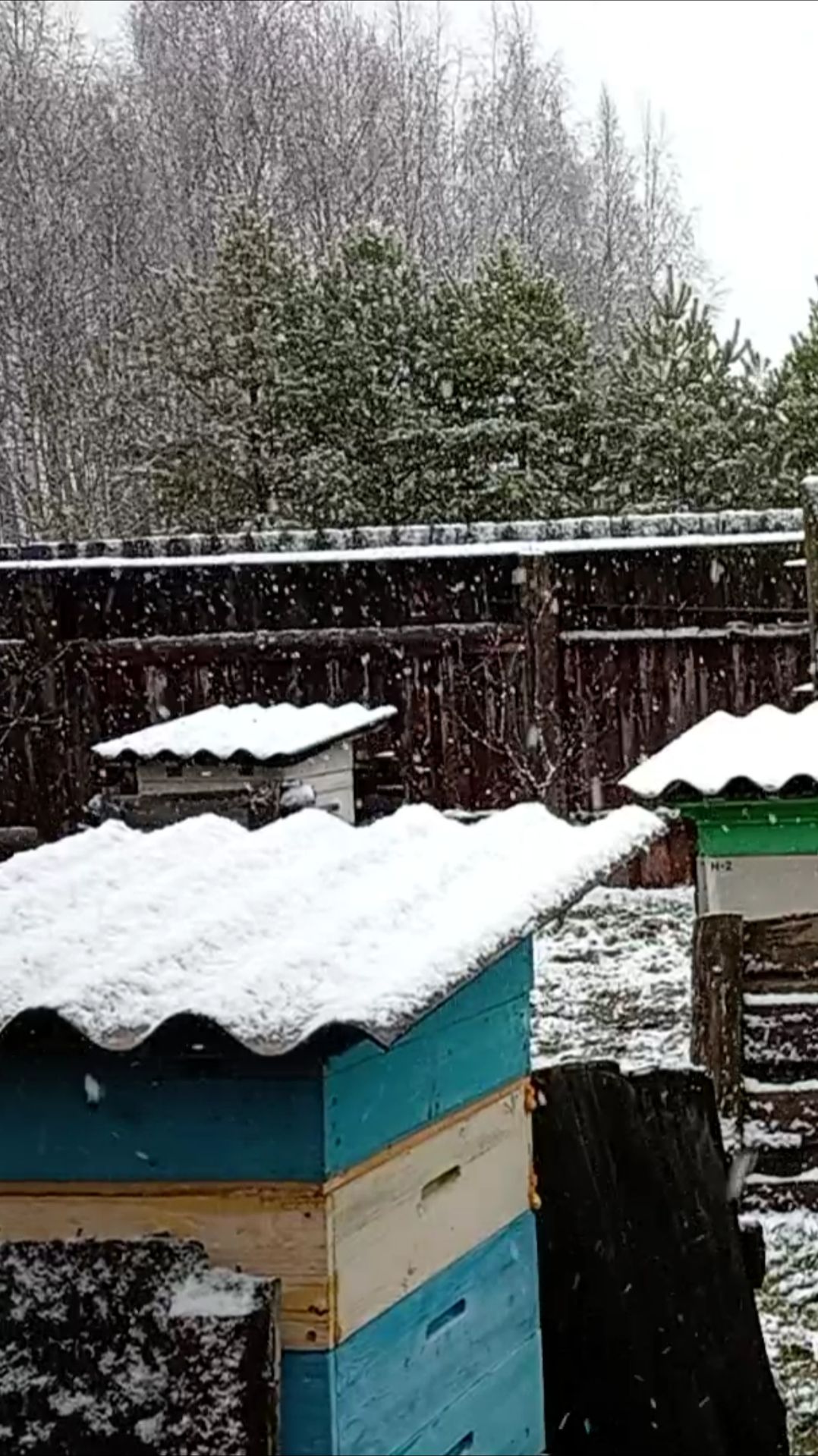 Первый Снег (15.11.2025 года) смотреть онлайн