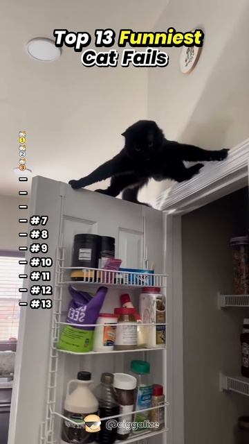 catfails смотреть онлайн