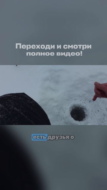 ЭТОТ БОЧАГ ЗАБИТ ОКУНЕМ! РЫБАЛКА НА БЕЗНАСАДОЧНУЮ МОРМЫШКУ! 