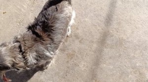 Девочки красавицы